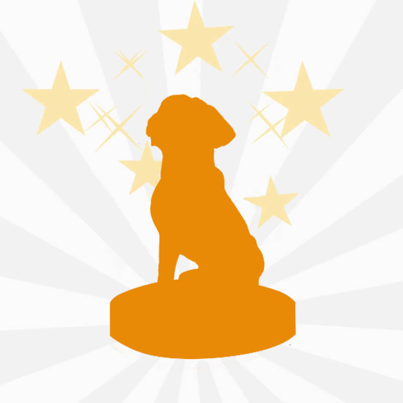 Best Custom Bobbleheads 2022 Fully Custom Your Bobbleheads statuegift